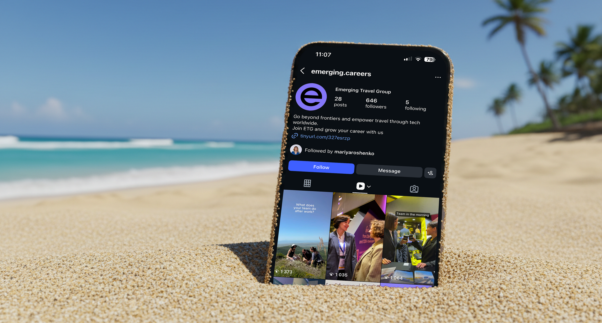 The Lost Baggage Investigation